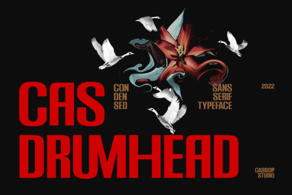 Cas Drumhead: A Fresh Display Font for Digital Branding
